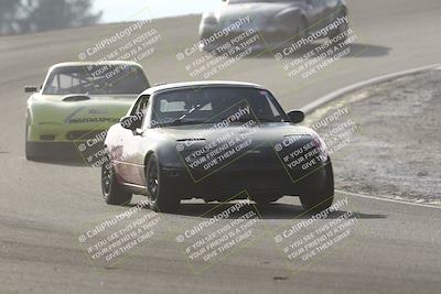 media/Feb-22-2025-CalClub SCCA (Sat) [[57201885c5]]/Group Five/Group 5b/